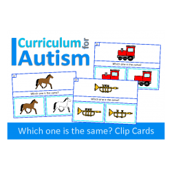 Which One Is The Same? Visual Thinking Clip Cards